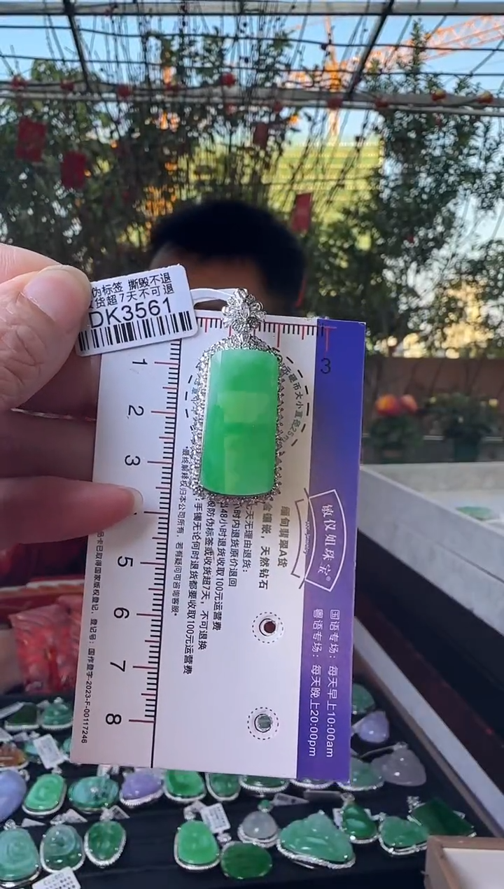 【闪购商品】翡翠颈饰18K金镶嵌DK3561冰绿无事牌