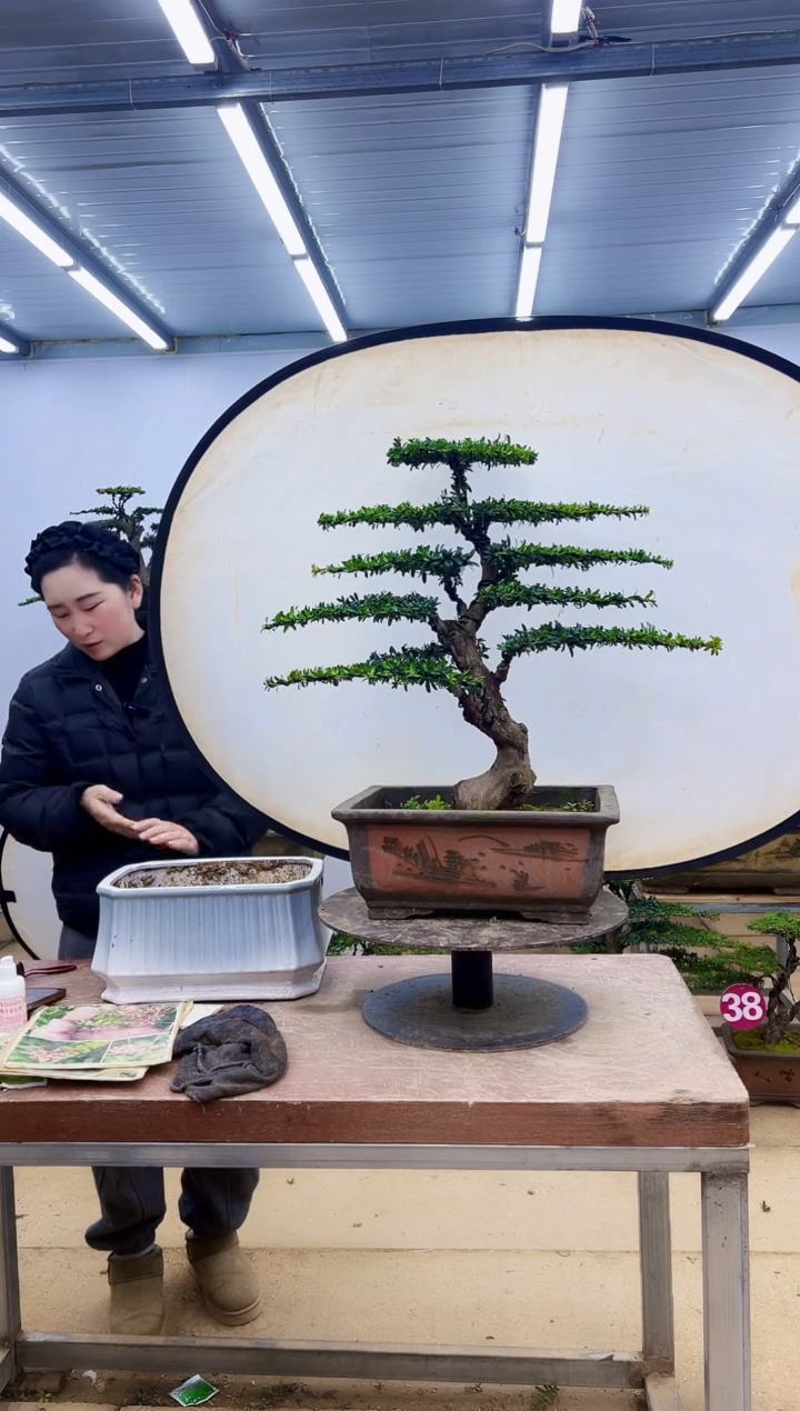 无花朵一物一拍，所见即所得