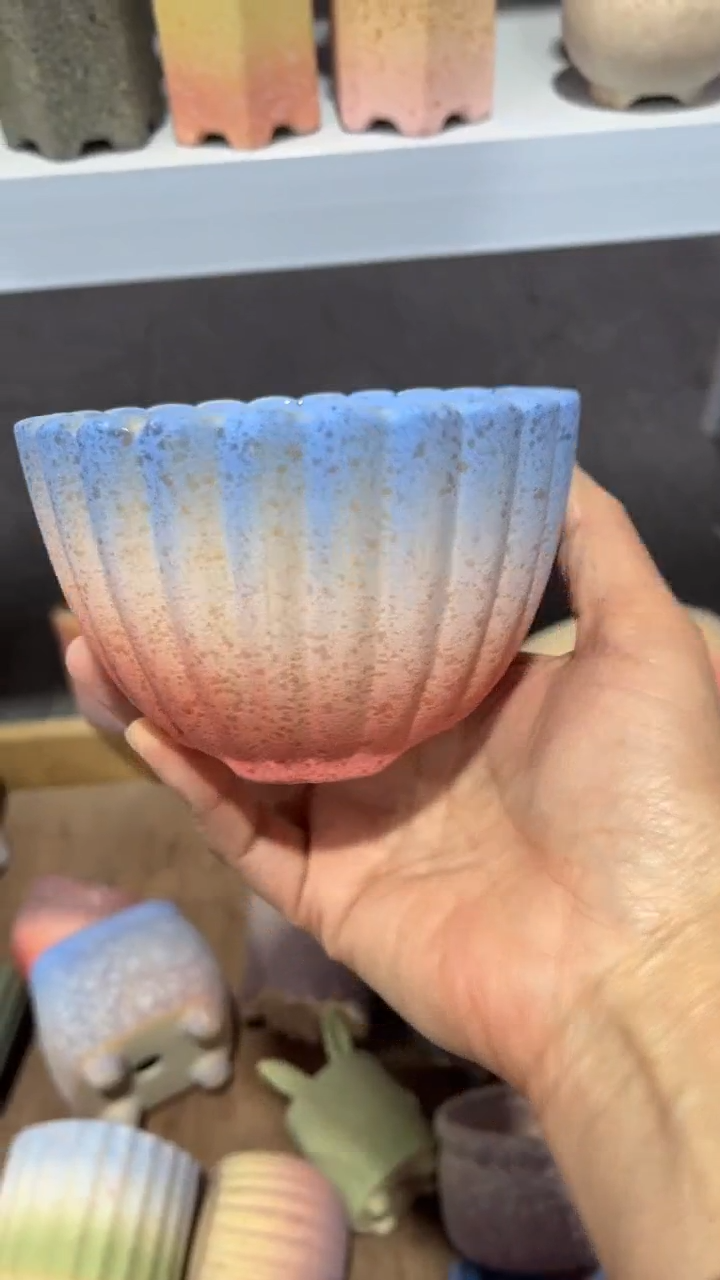 【闪购商品】陶内口9   内高6