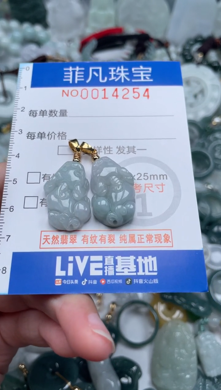 颈饰未镶嵌翡翠14254