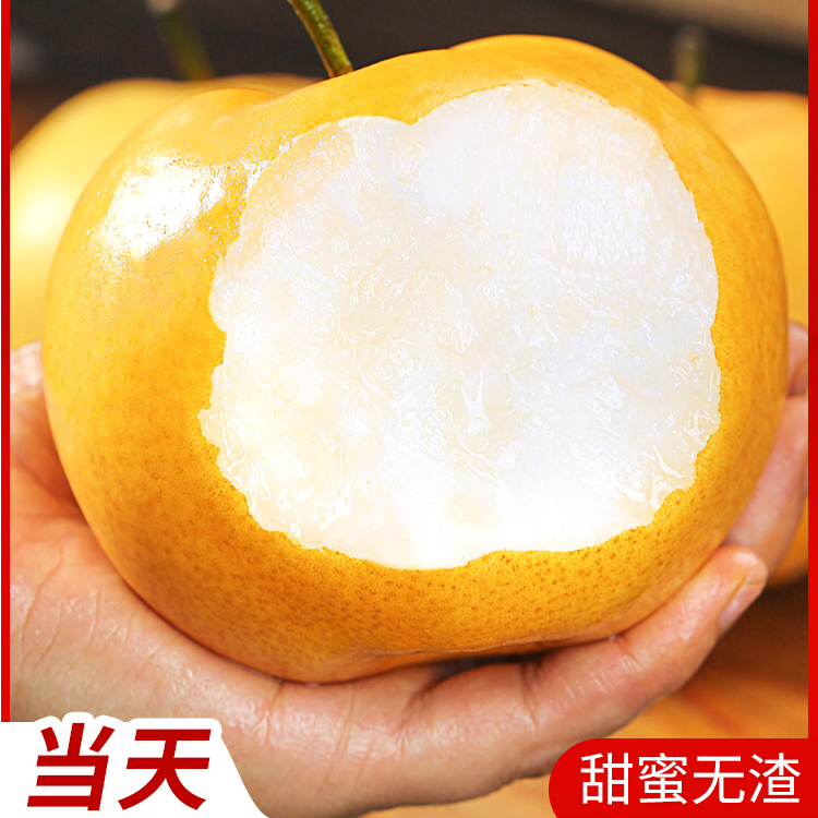 正宗秋月梨山东烟台莱阳梨脆甜多汁核小肉厚现摘现发梨山东省山东省