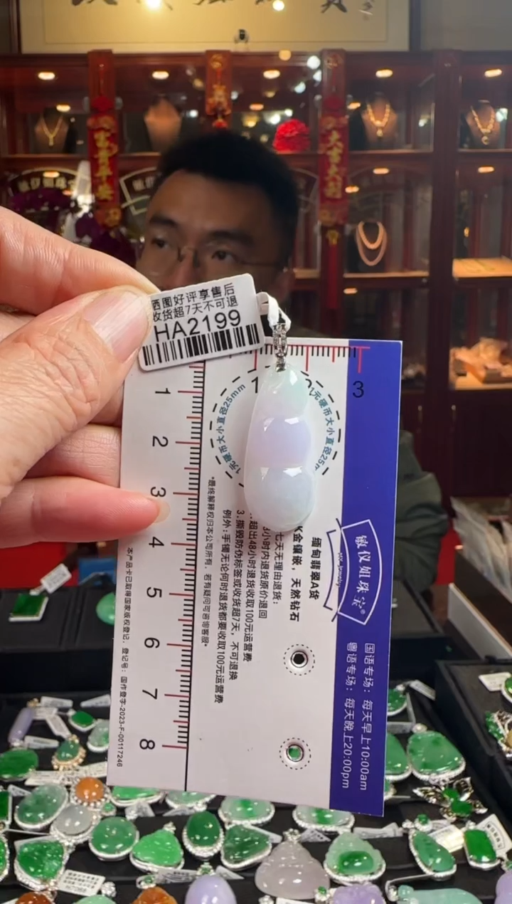 【闪购商品】翡翠颈饰18K金镶嵌HA2199冰绿豆