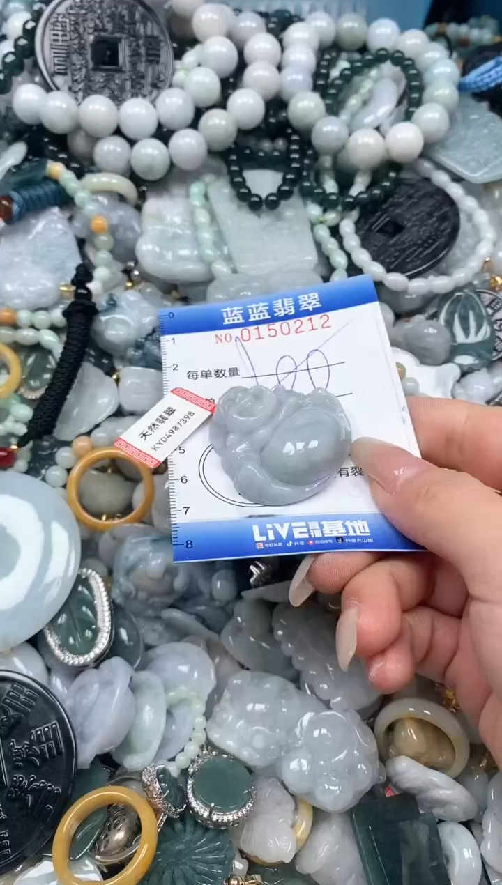 【闪购商品】翡翠颈饰未镶嵌闪购0150212多样性发其一