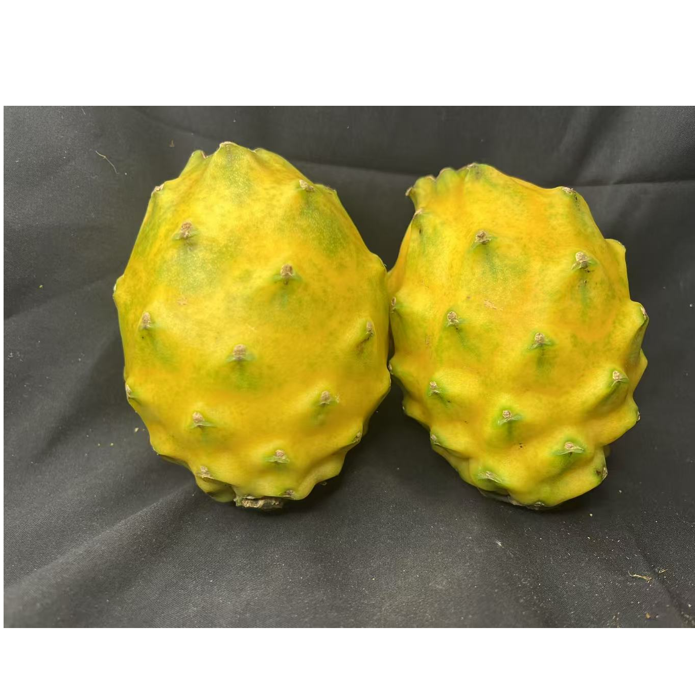 【小刘山货】云南中缅边境土货=燕窝果