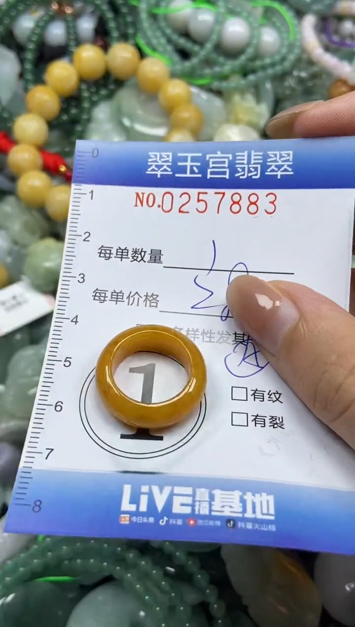 颈饰未镶嵌翡翠闪购C0257883