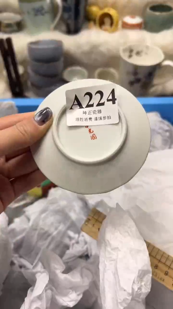 【闪购商品】瓷片          A224