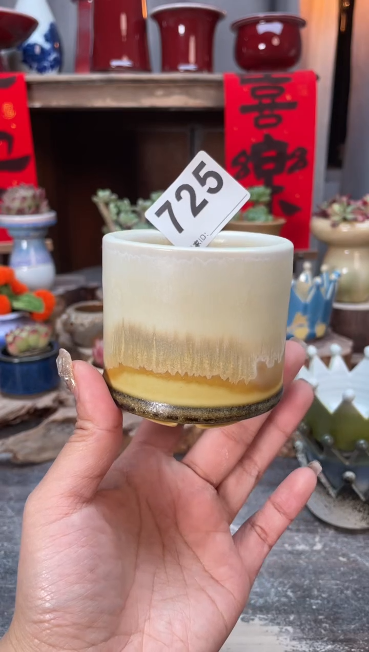 【闪购商品】摆件725知木小芳花盆