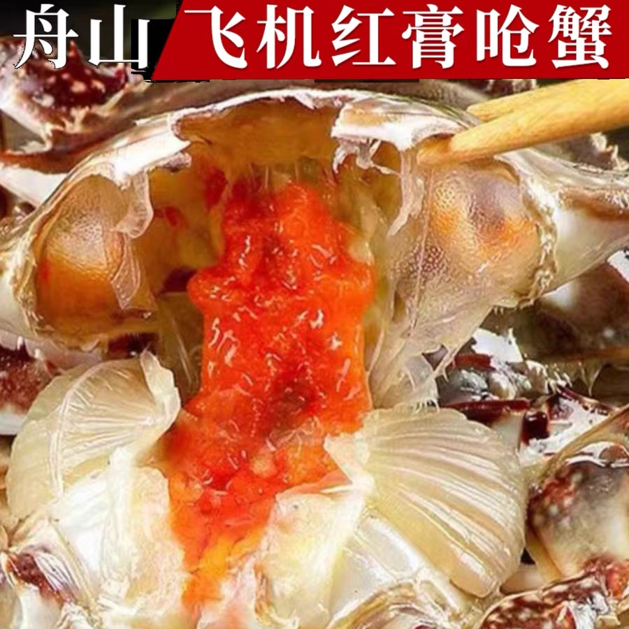 宴请款巨无霸蟹王飞机红膏呛蟹7两左右一只特大款生腌蟹 不能蒸煮