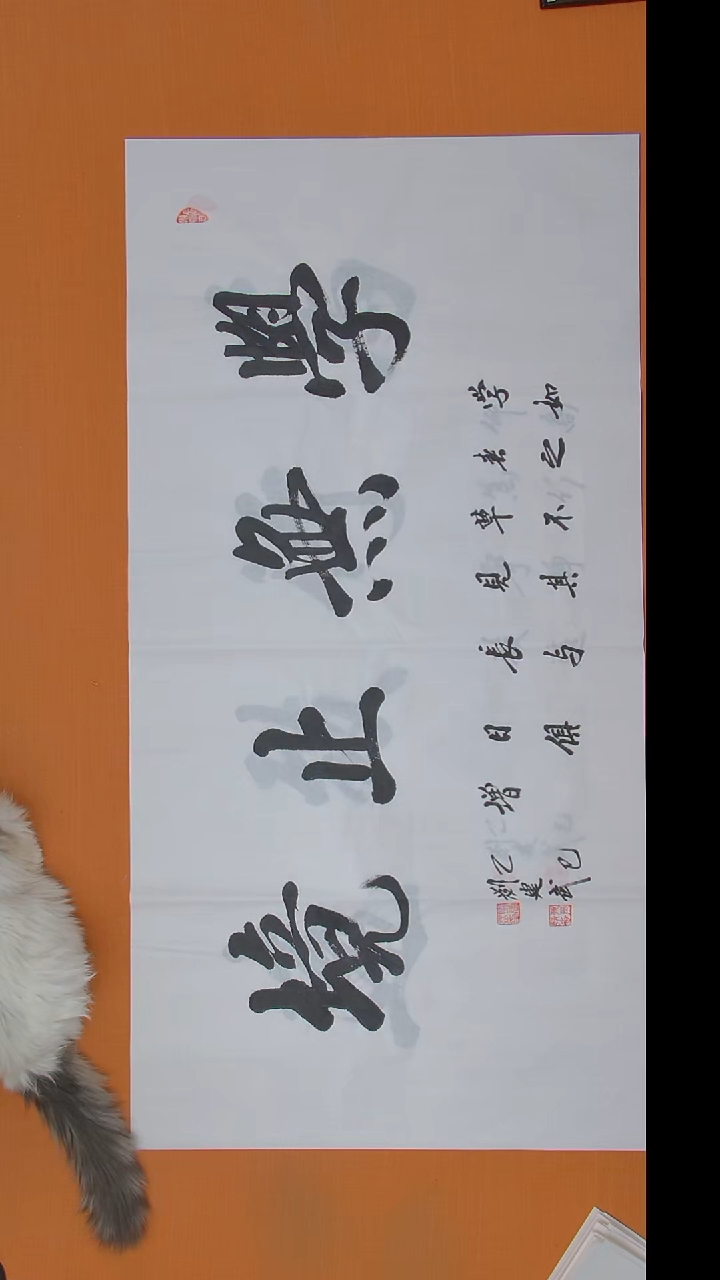 书法刘建武老师作品138*69