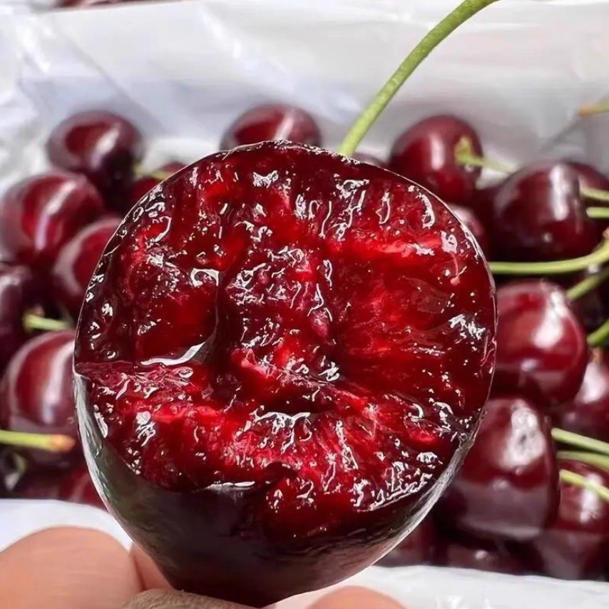 【4J升级4JD高品质黑车次日达】5斤皇家黎明智利进口海运车厘子内附果径卡皇家黎明樱桃智利共和国