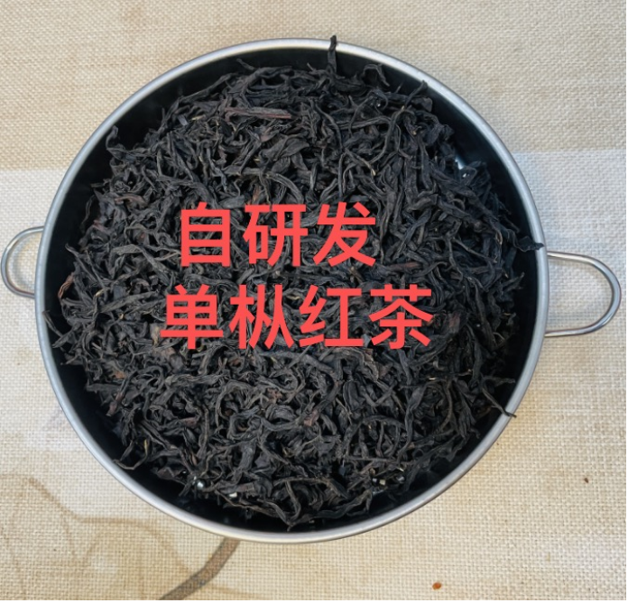 自研发品种正宗高山凤凰单丛蜜兰香红茶 精品