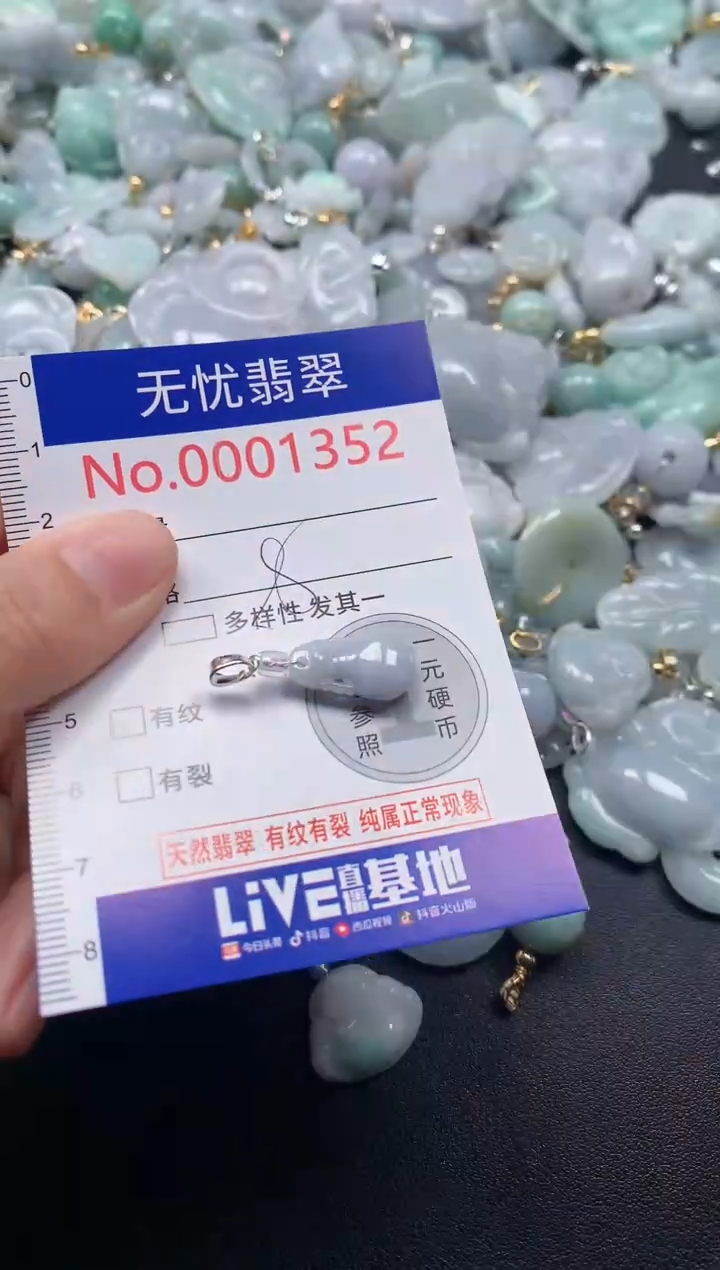 颈饰未镶嵌翡翠1352