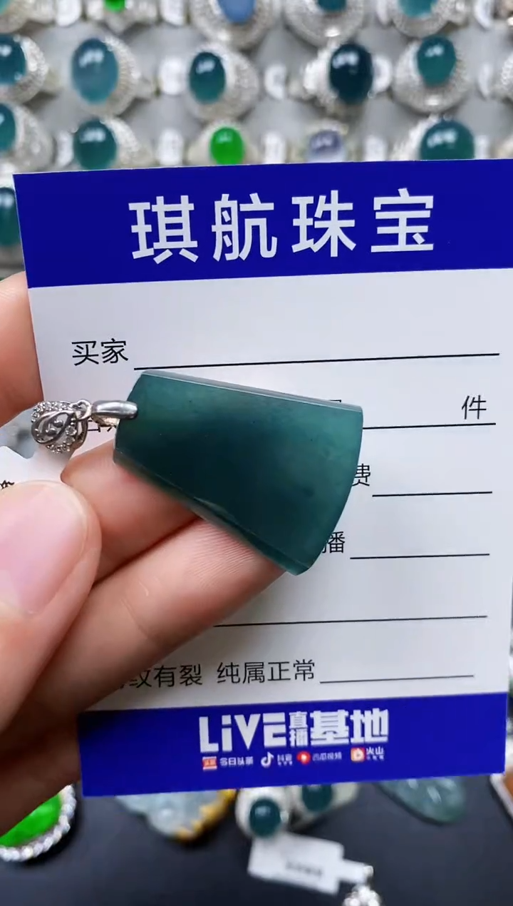 【闪购商品】翡翠颈饰银S925镶嵌0095