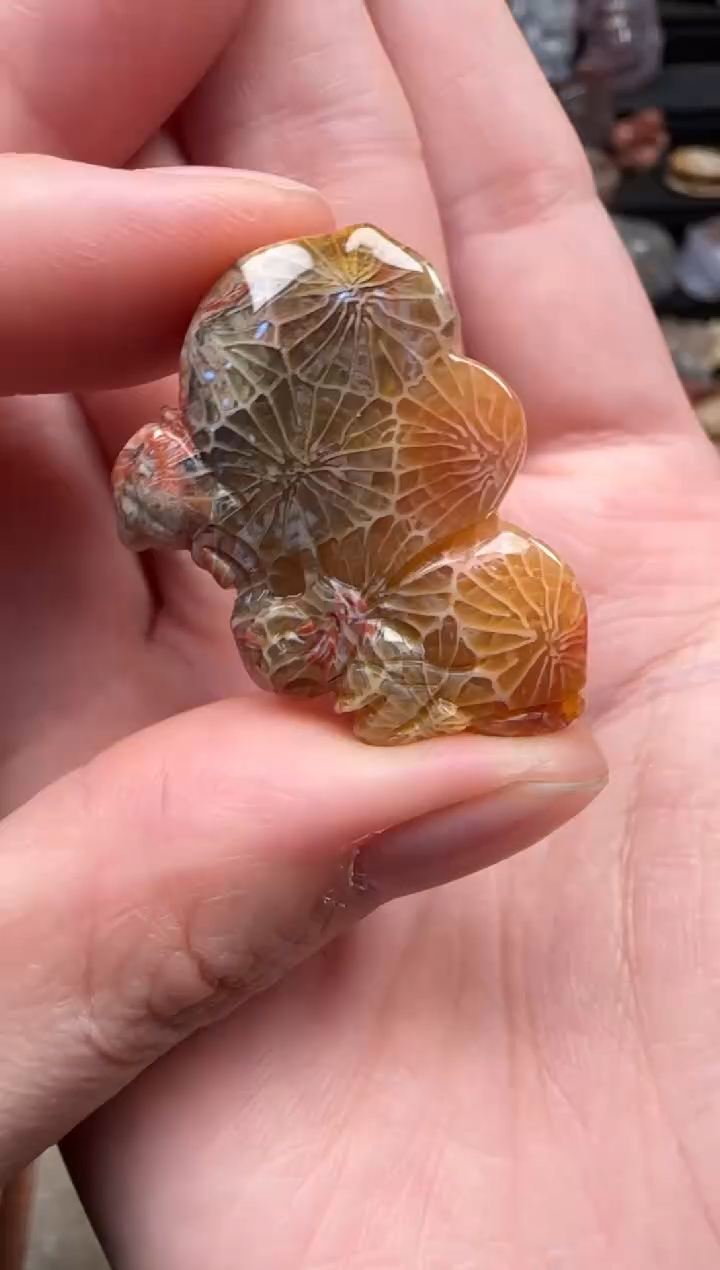 颈饰未镶嵌硅化珊瑚（珊瑚玉）078