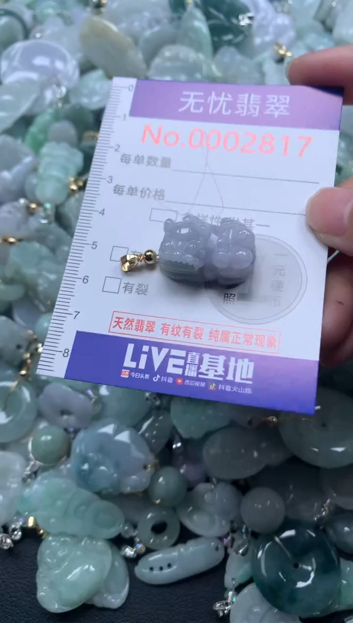 颈饰未镶嵌翡翠2817
