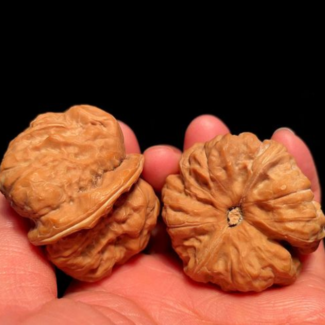 金蟾蛤蟆头文玩核桃手把件商品货号  jiahe99991111