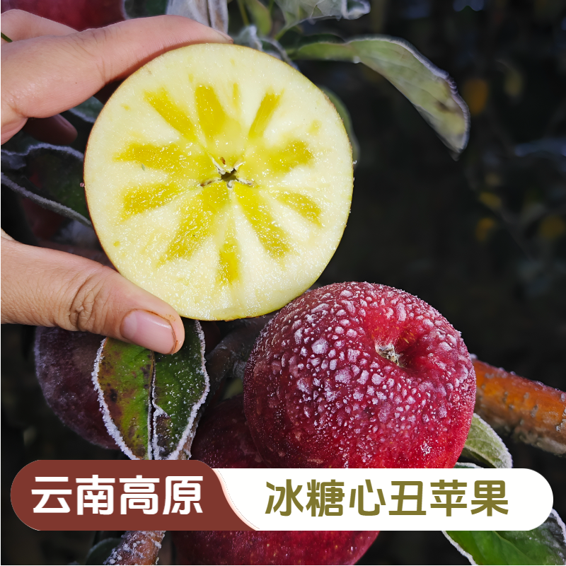 【中通快递】云南高原冰糖心丑苹果新鲜现摘当季箱红富士苹果脆甜果