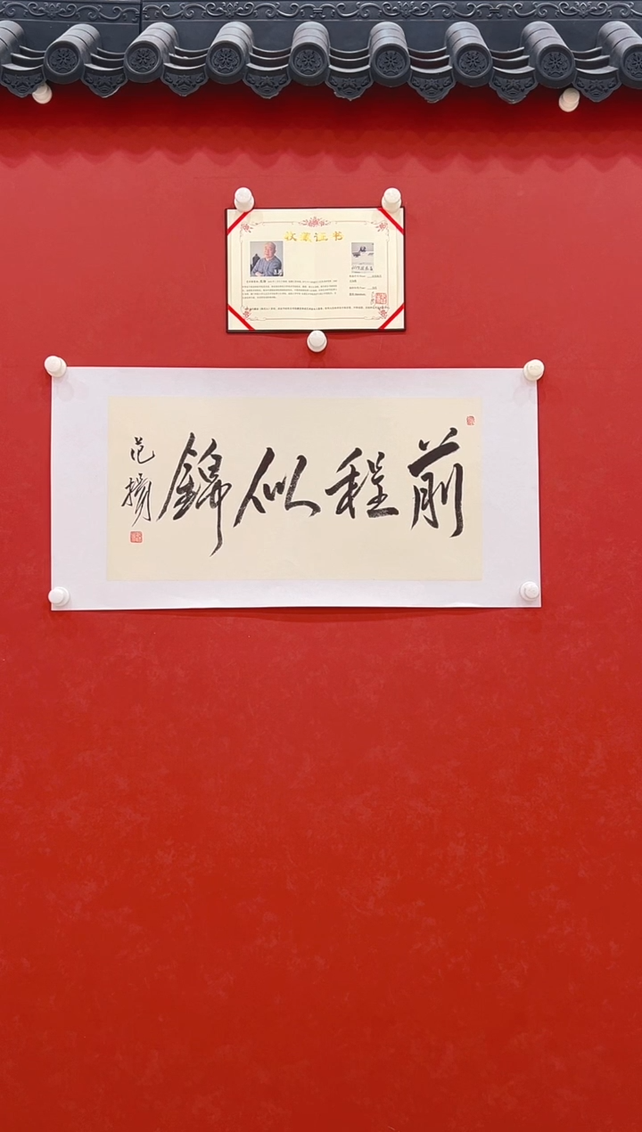 【闪购商品】书法范      书法   2平尺