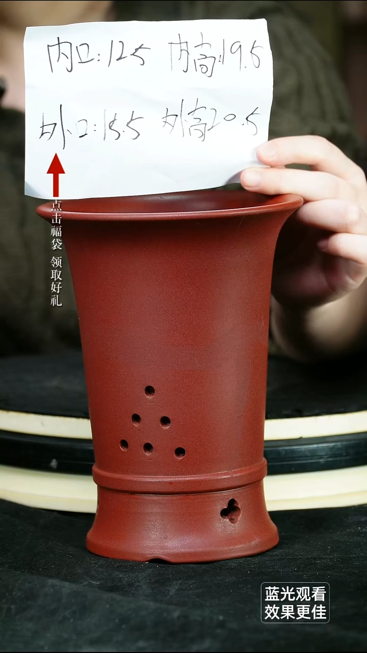 紫砂花盆瑕胭脂红静兰秋思一个无托