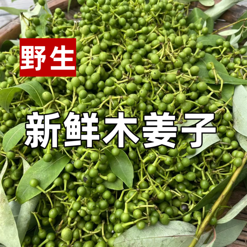 包邮野生新鲜木姜子现摘现发山胡椒酸汤调味料增香去腥提味