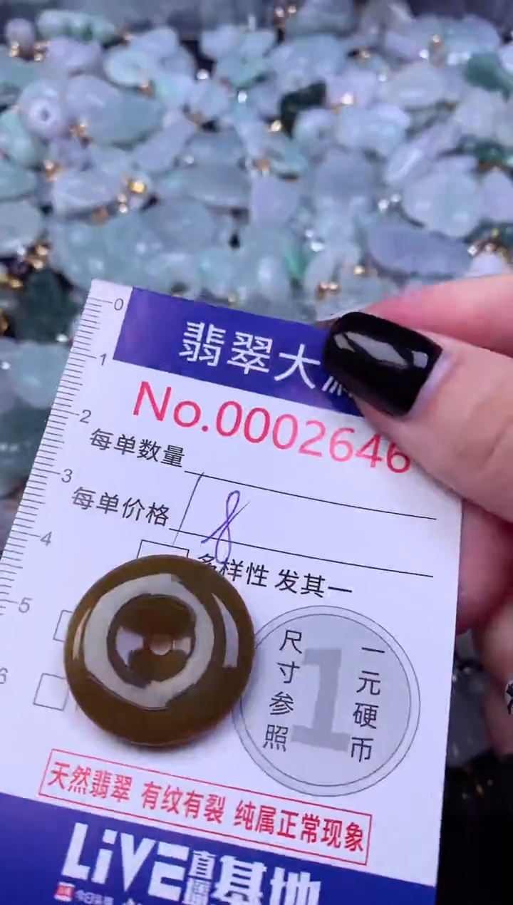 颈饰未镶嵌翡翠2646