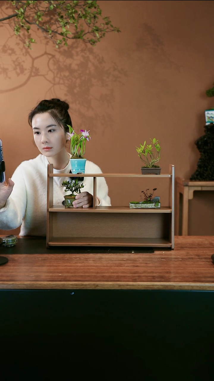 【闪购商品】盆景趣拼花架