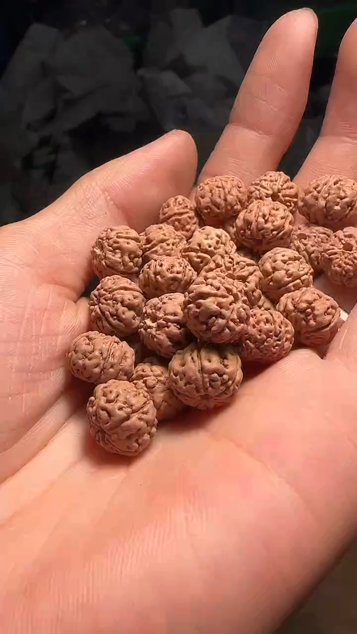 金刚菩提手串非全品树王散籽10-11左右mm一份一百颗