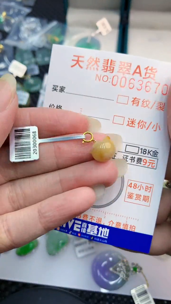 【闪购商品】翡翠颈饰银S925镶嵌            8