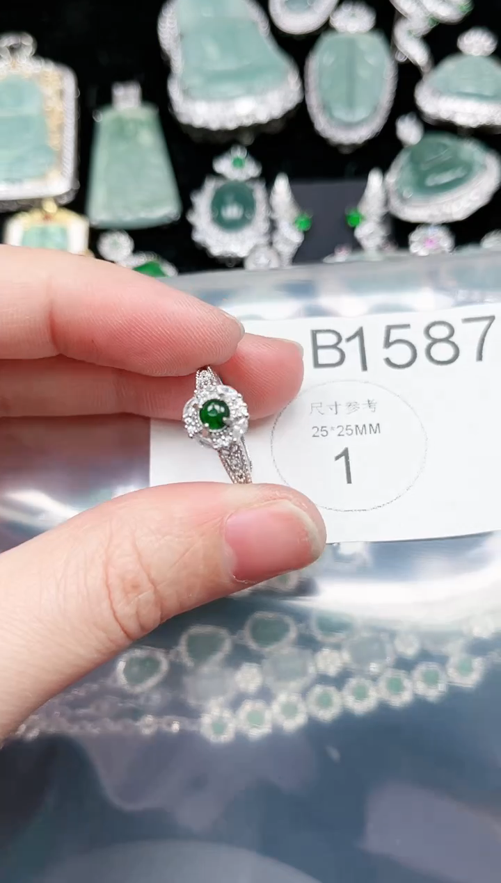 【闪购商品】翡翠颈饰未镶嵌1587赠皮绳