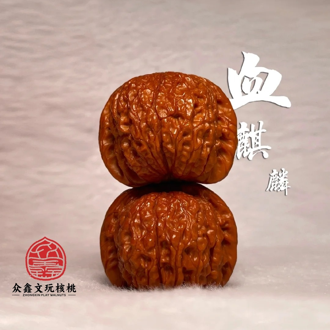 众鑫清华哥--血麒麟文玩核桃44.45左右尺寸（有修）