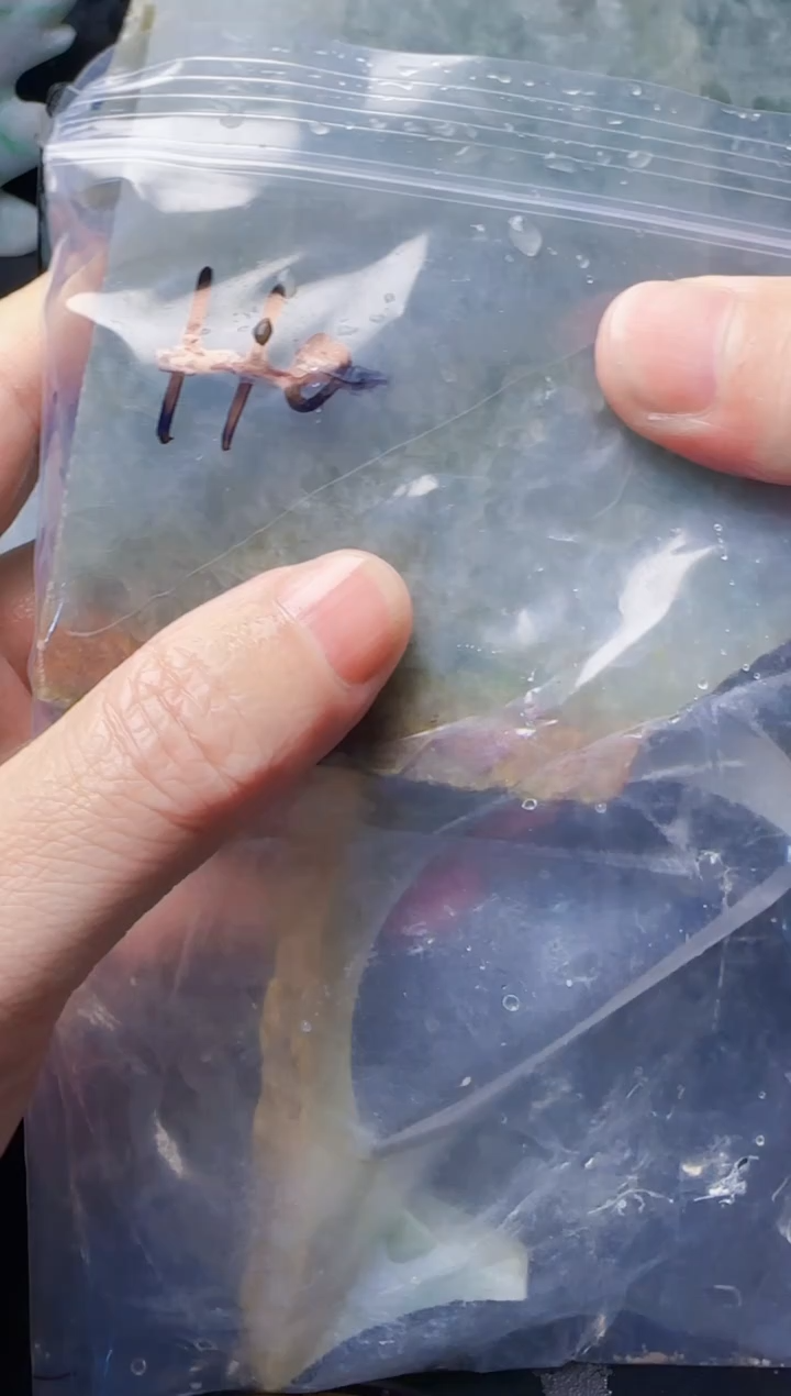 颈饰未镶嵌翡翠像**月110