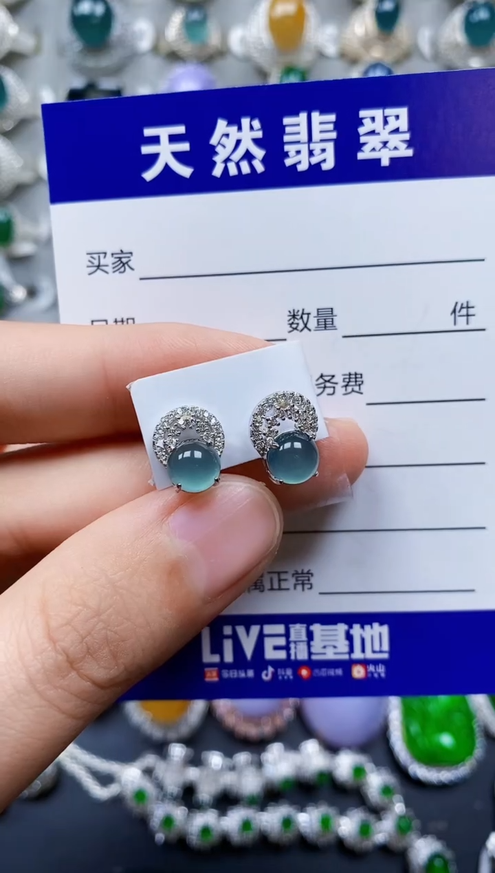 【闪购商品】翡翠耳饰银S925镶嵌0075