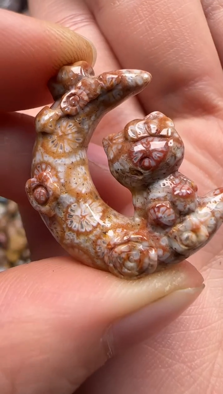 【闪购商品】硅化珊瑚（珊瑚玉）颈饰未镶嵌126