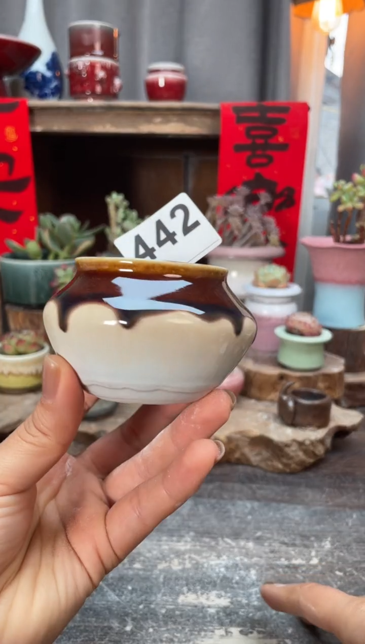 【闪购商品】摆件442知木小芳花盆