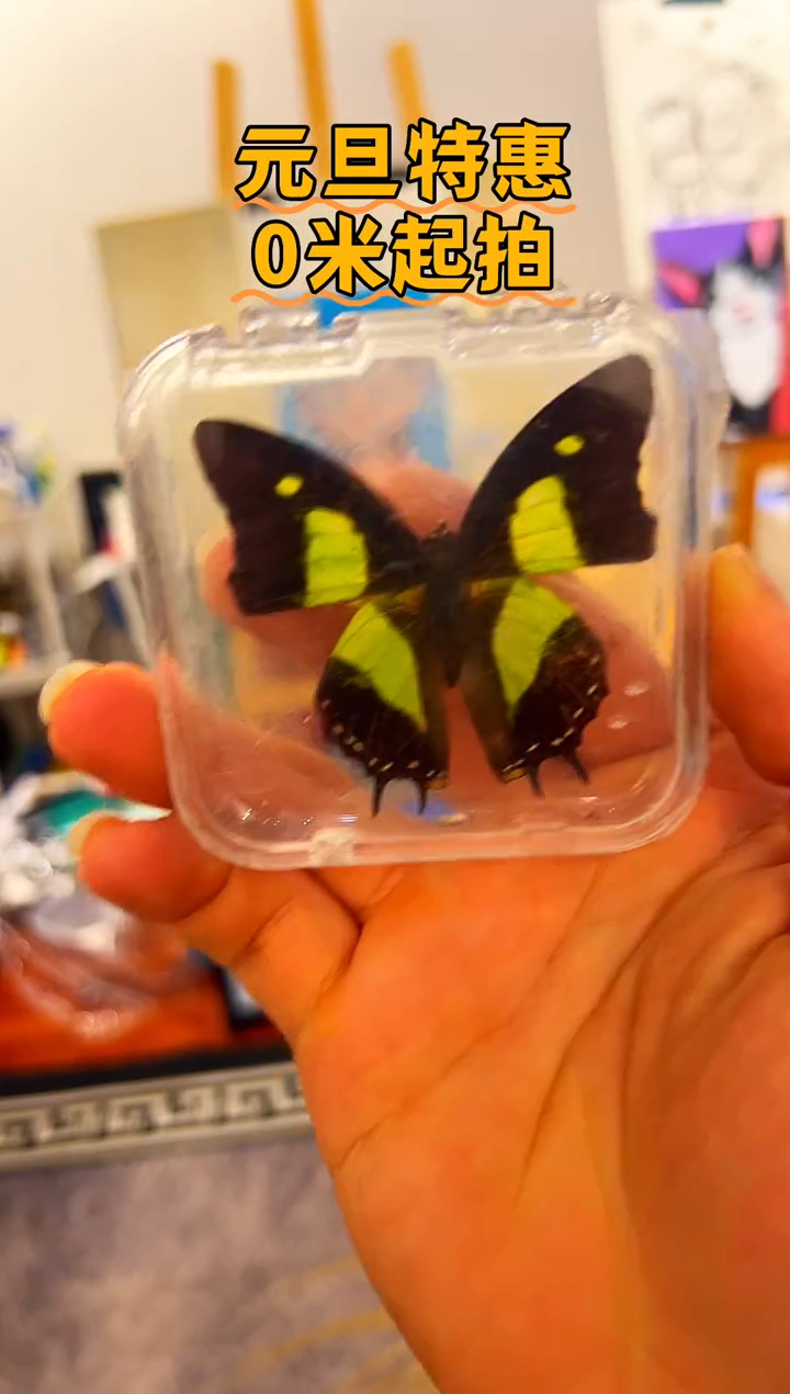 有机玻璃3383838383