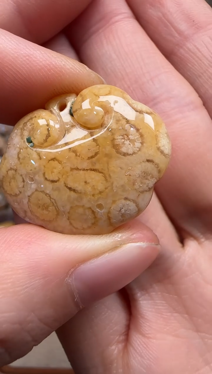 【闪购商品】硅化珊瑚（珊瑚玉）颈饰未镶嵌214