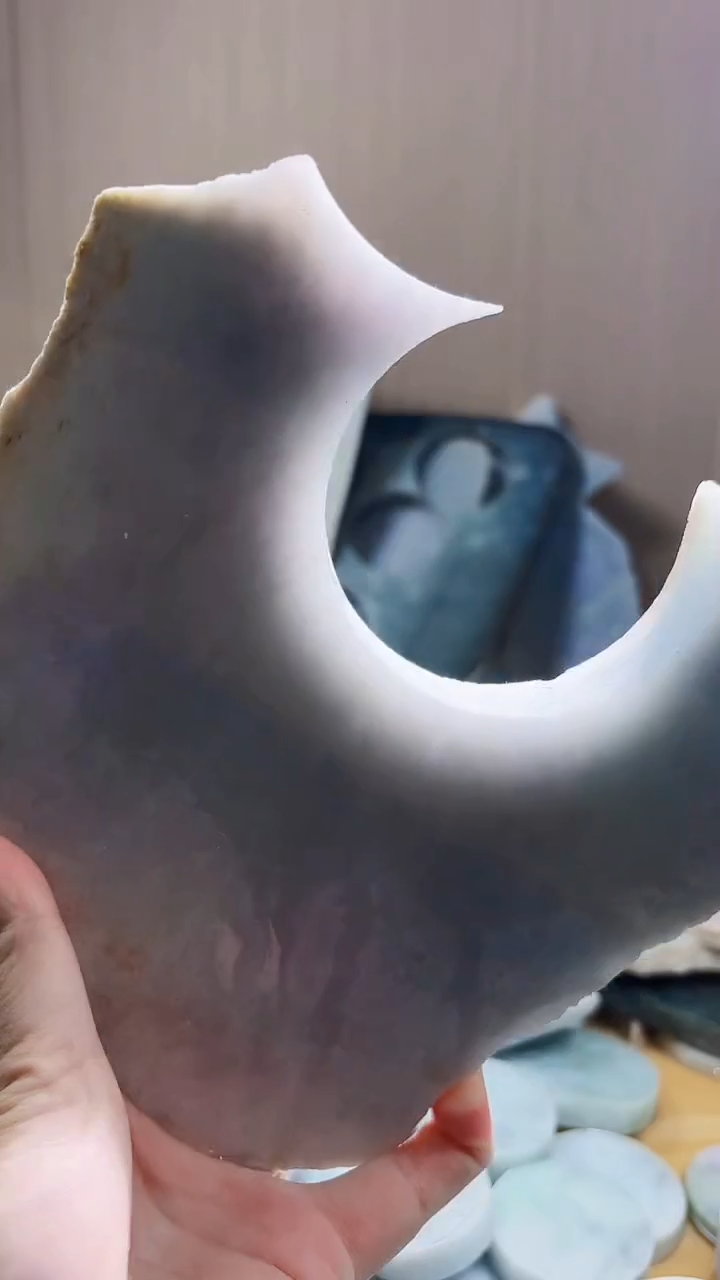 翡翠未镶嵌颈饰翡翠A货 姜谭853