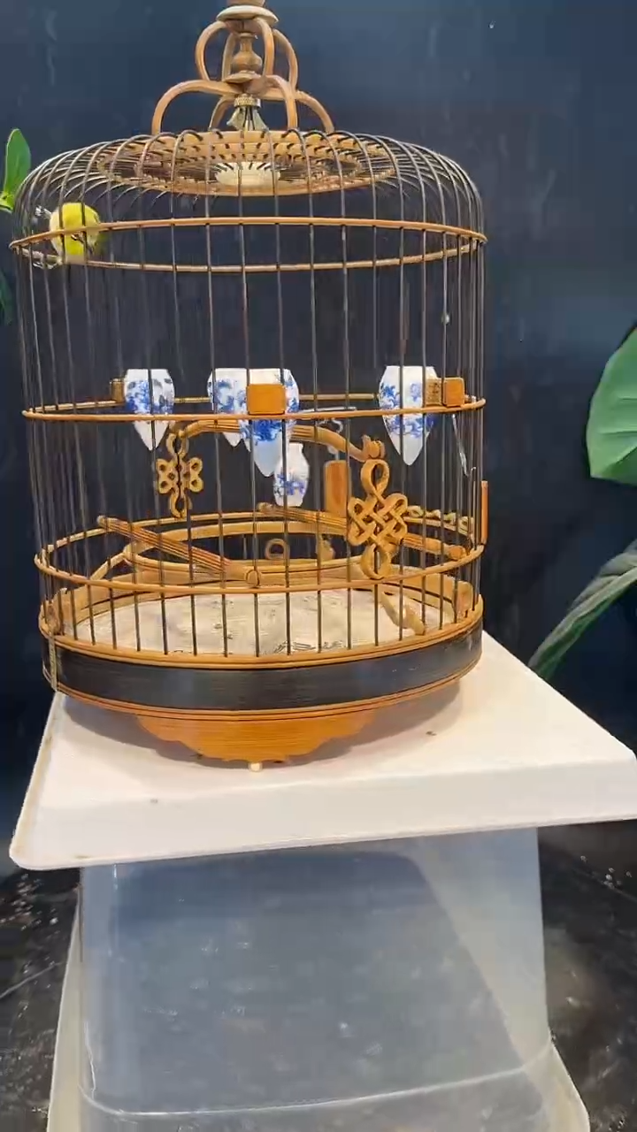 4号  绣眼养笼  0元起拍