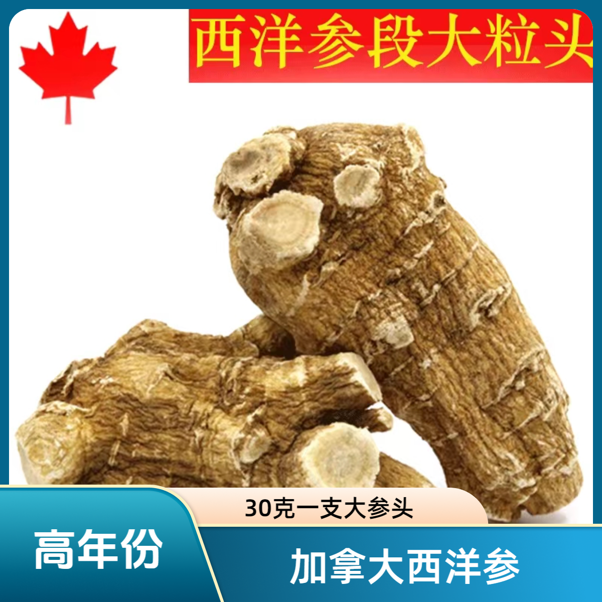 【加拿大西洋参】每个重30克足龄 精选粒头 高端滋补 送礼佳品优选