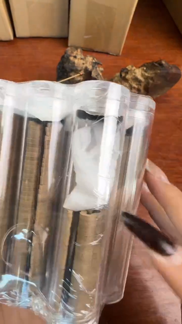 线香34号 V2422 好奇  500单片