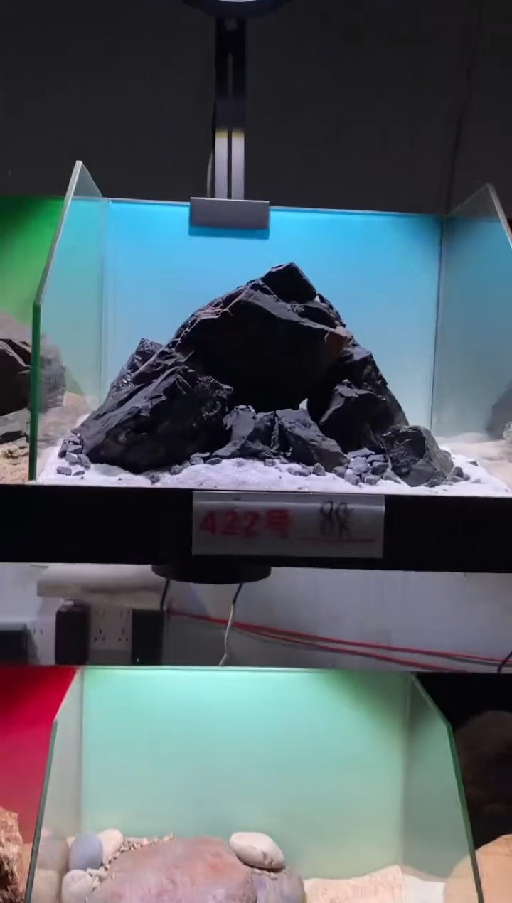 422号鱼缸造景（不含底砂）