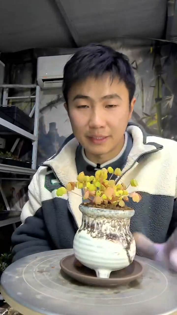 米*雪中青园艺一物一拍花110