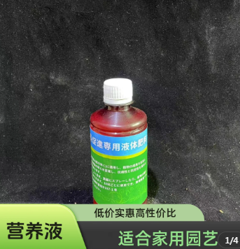 老鸦柿植物促进剂 盆景花苗木营养液家用园艺栽花液体肥料