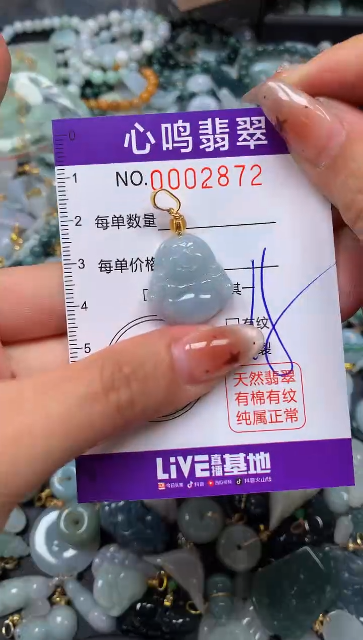 翡翠未镶嵌颈饰闪购002872