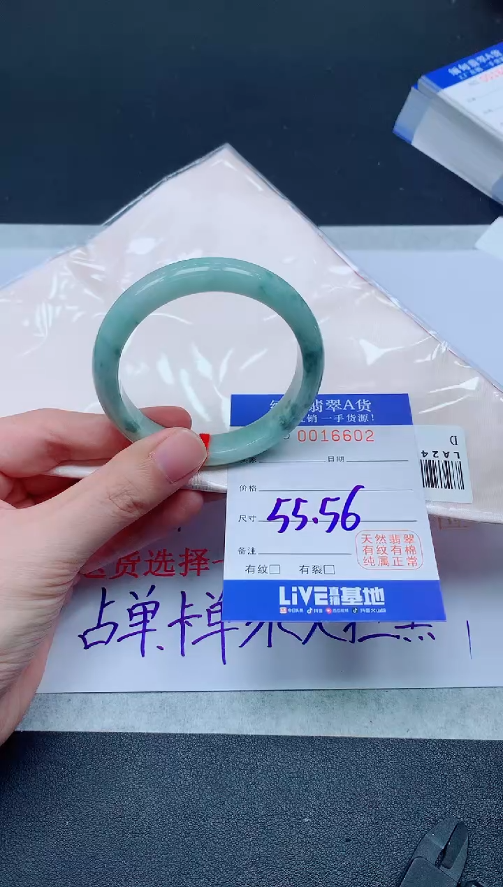 未镶嵌手镯翡翠6602