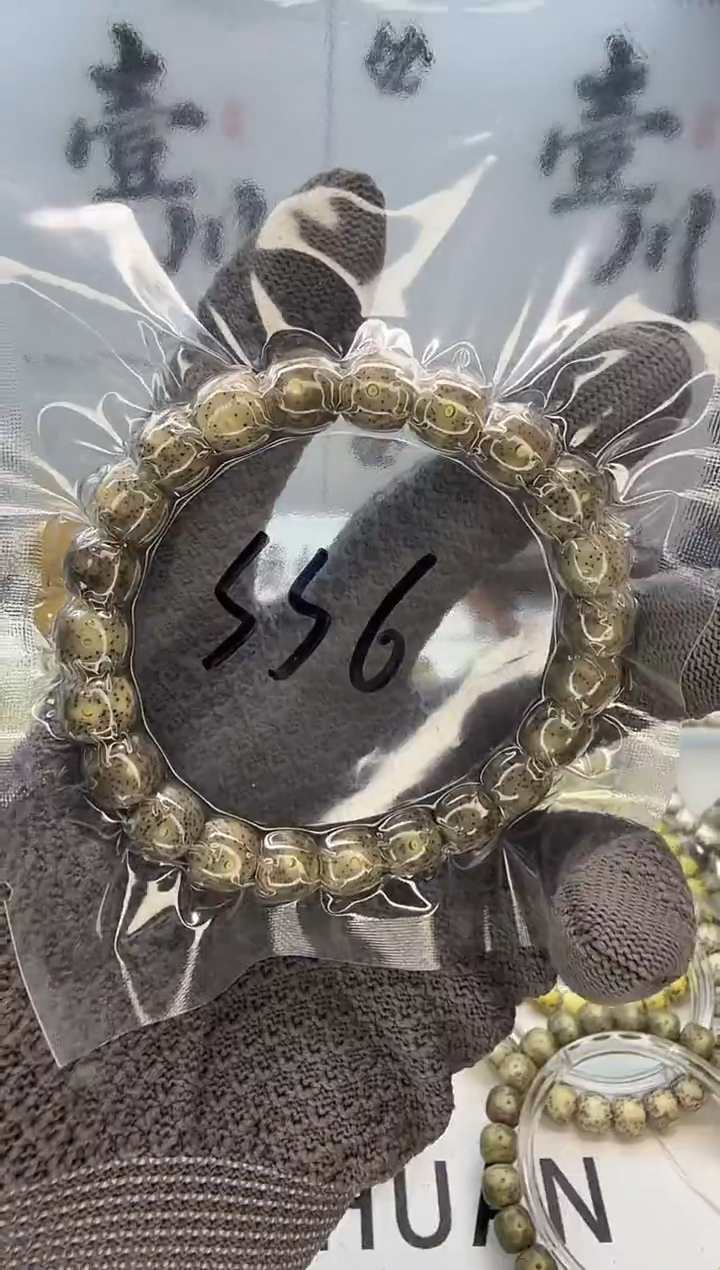 手串星月菩提10/9 冰糖 针尖星 星点货 同枝果