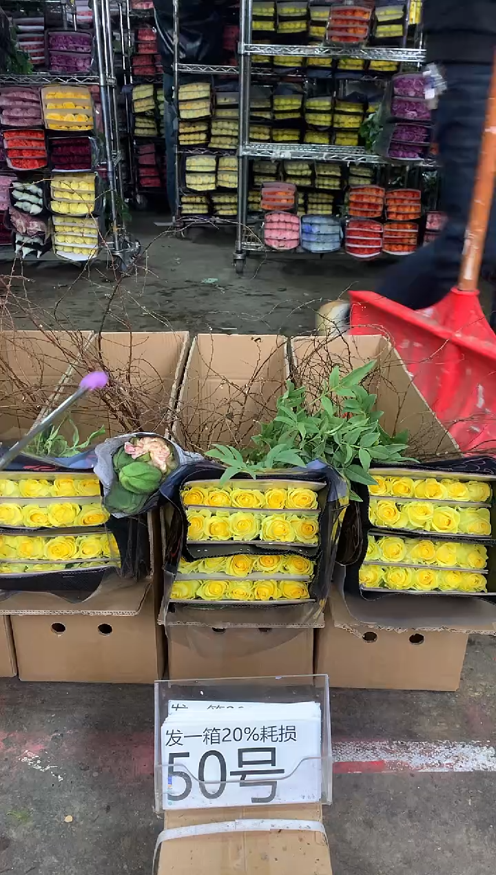 50号♥中通含20%耗损发一箱鲜花
