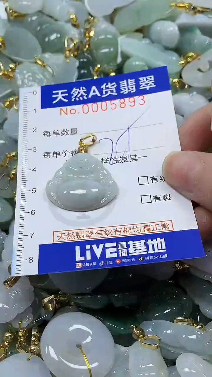 颈饰未镶嵌翡翠纯天然a货翡翠