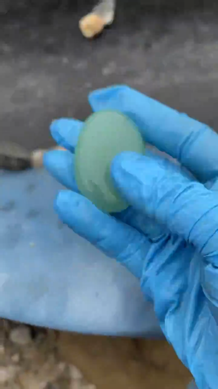 颈饰未镶嵌和田玉（糖玉）0042