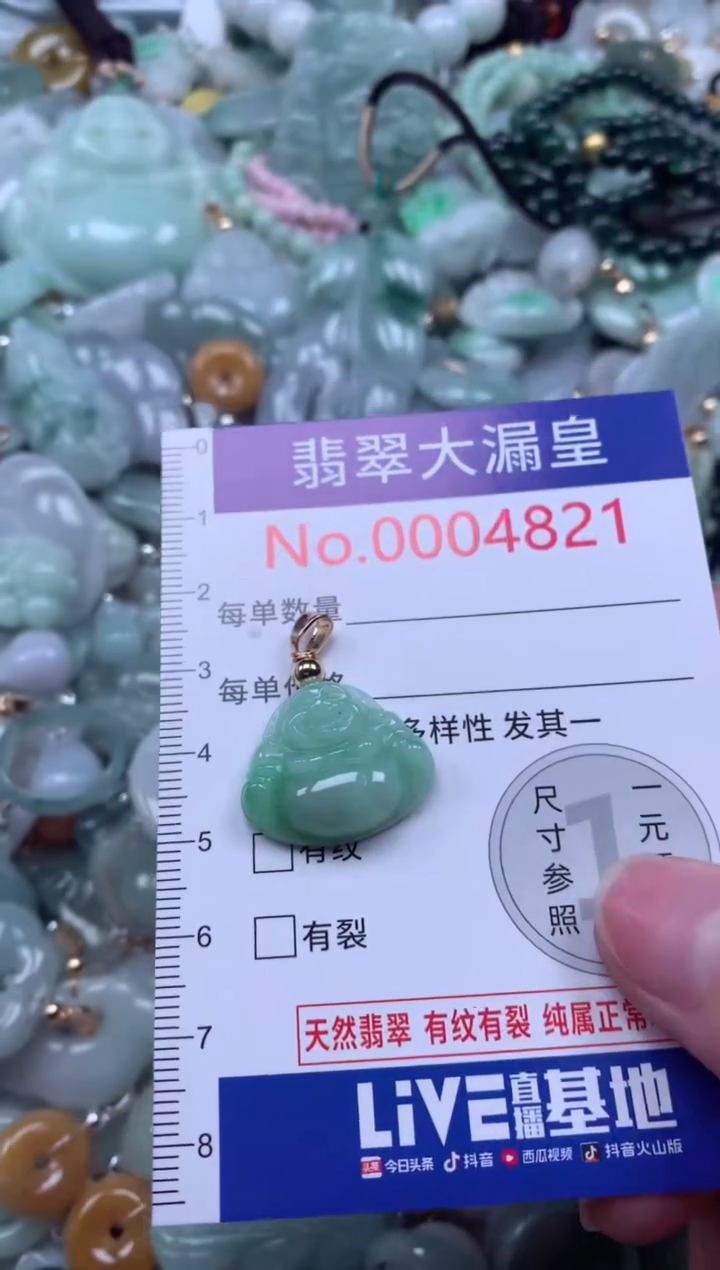 翡翠未镶嵌吊坠(不含链)4821